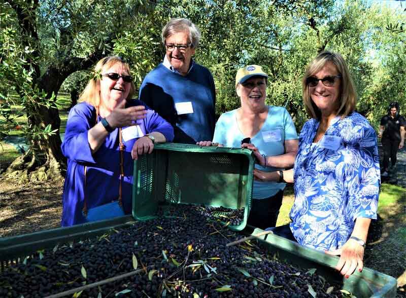 Cultural,-Culinary-&-Olive-Harvest-Experience-in-Abruzzo