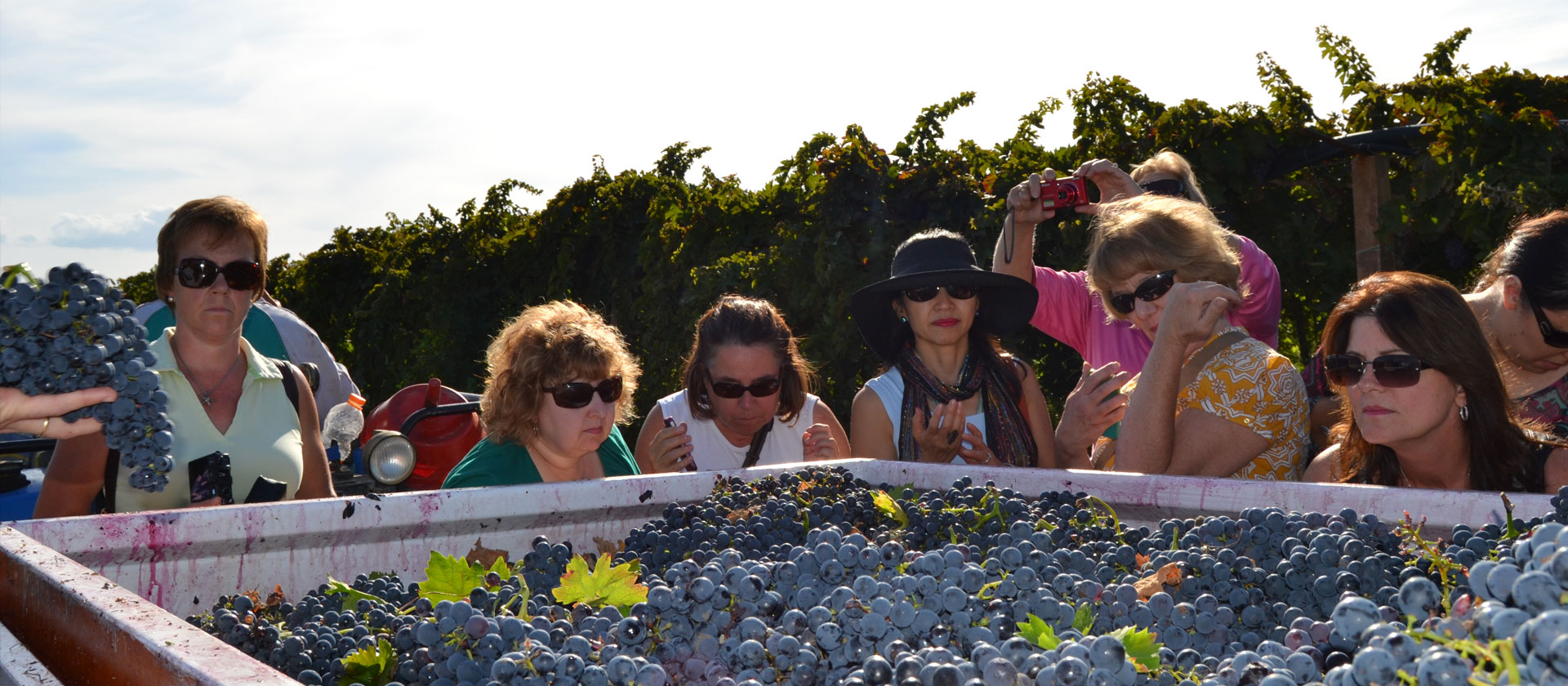 Italian-cookery-courses-9